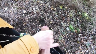 Meinem Schwager im Park den Schwanz gewichst