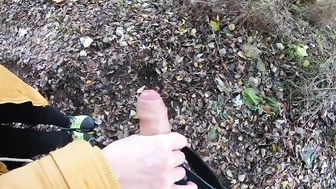 Meinem Schwager im Park den Schwanz gewichst