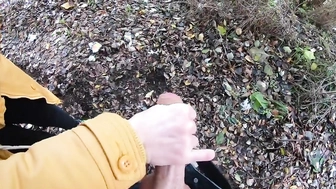 Meinem Schwager im Park den Schwanz gewichst