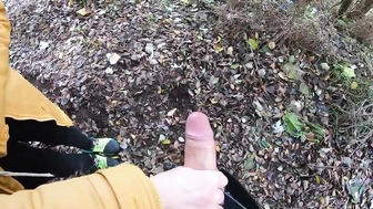 Meinem Schwager im Park den Schwanz gewichst