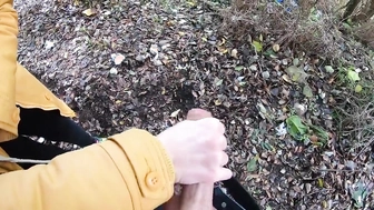 Meinem Schwager im Park den Schwanz gewichst