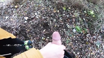 Meinem Schwager im Park den Schwanz gewichst