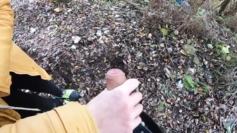 Meinem Schwager im Park den Schwanz gewichst