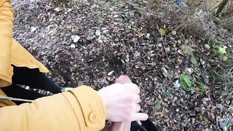 Meinem Schwager im Park den Schwanz gewichst