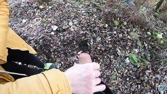 Meinem Schwager im Park den Schwanz gewichst