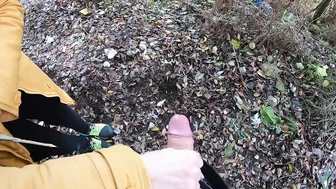 Meinem Schwager im Park den Schwanz gewichst