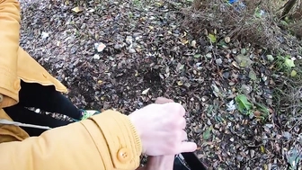 Meinem Schwager im Park den Schwanz gewichst