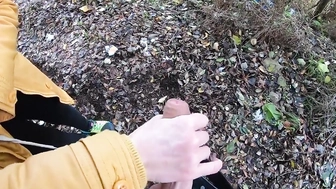 Meinem Schwager im Park den Schwanz gewichst