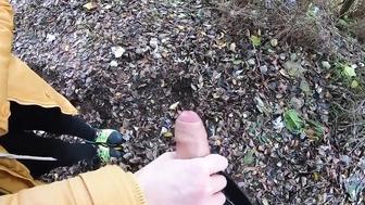 Meinem Schwager im Park den Schwanz gewichst