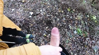 Meinem Schwager im Park den Schwanz gewichst