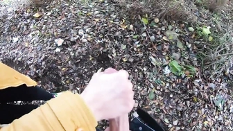 Meinem Schwager im Park den Schwanz gewichst