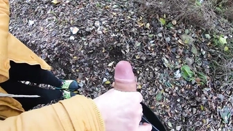 Meinem Schwager im Park den Schwanz gewichst