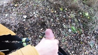 Meinem Schwager im Park den Schwanz gewichst