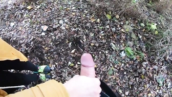 Meinem Schwager im Park den Schwanz gewichst