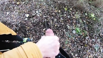 Meinem Schwager im Park den Schwanz gewichst