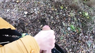 Meinem Schwager im Park den Schwanz gewichst