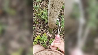 Fette Ladung im Wlad verteilt