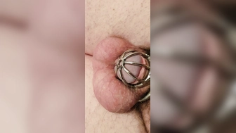 Pralle Eichel im Käfig