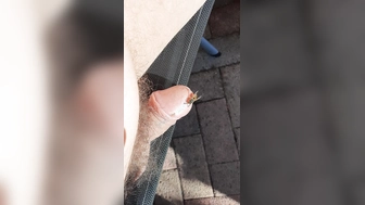 Wespe beißt mir in die Eichel