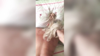 Doggystyle mit meiner blonden Freundin