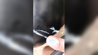Gina´s Lederarsch wird vollgespritzt