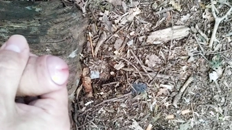 Schwanz spritzt in den Wald