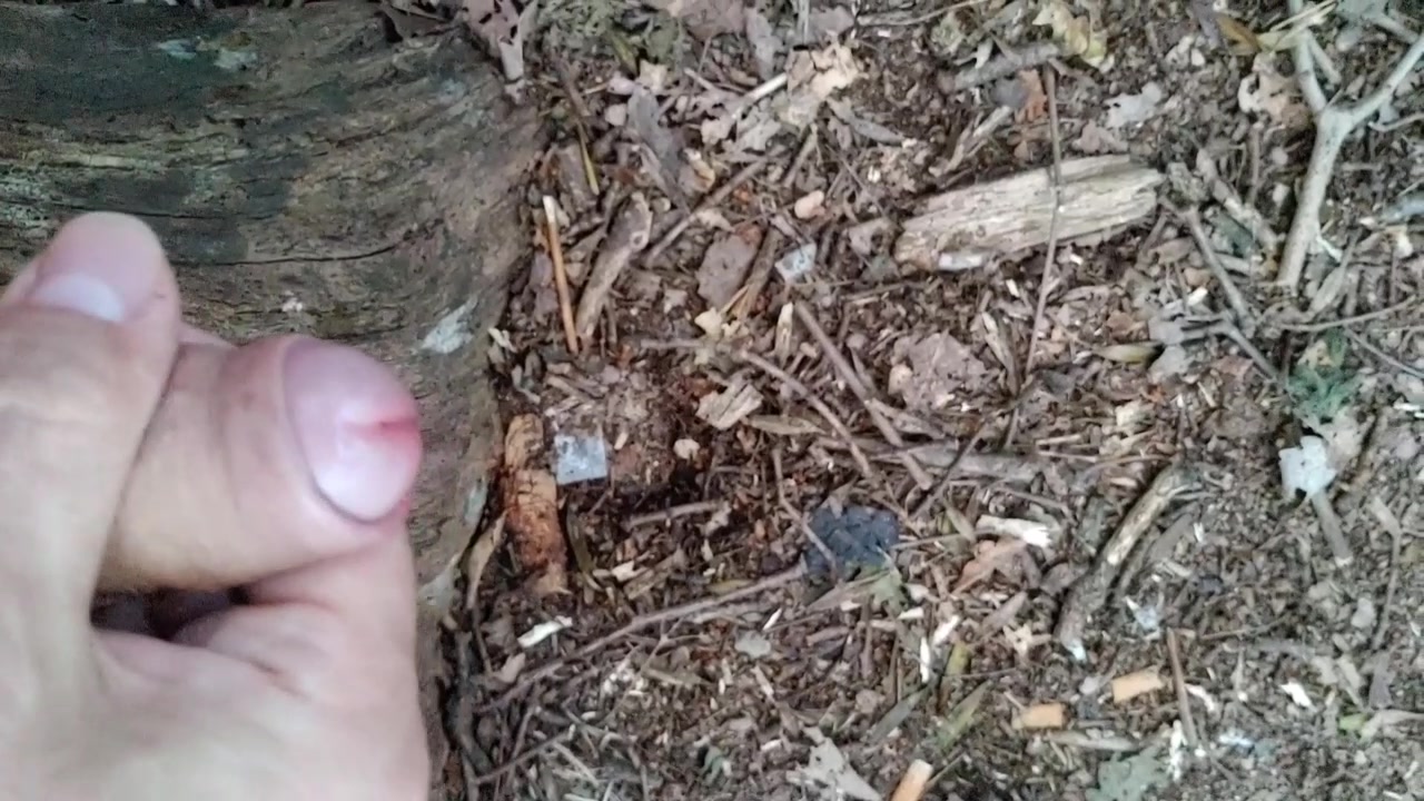 Bläst 2 Schwänze Im Wald Bläst 2 Schwänze Im Wald