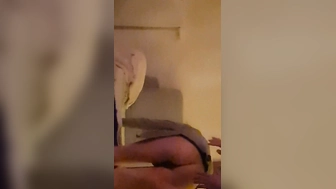 Doggy beim Sex Date ich mag es