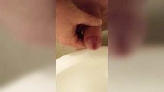 Wichsen im Gästeklo