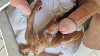 Denta hat nach einem Tribut gefragt