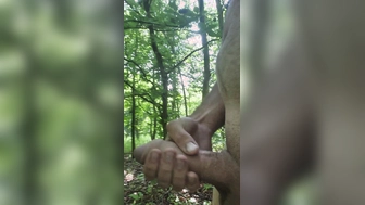 Jungschwanz läuft durch den Wald