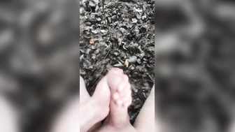 Jungschwanz (21) im Wald