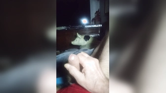 Willibalds kleiner Schwanz