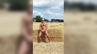 Erntezeit auf dem Feld