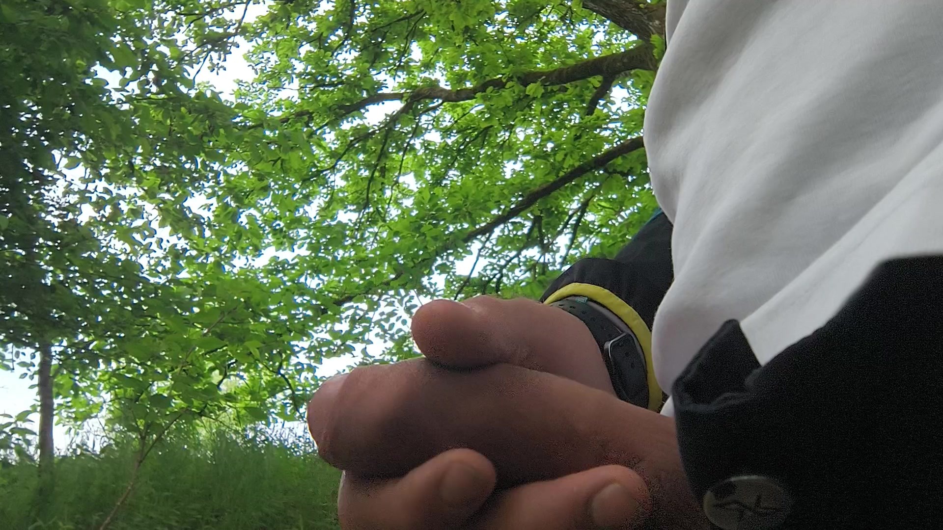 Outdoor