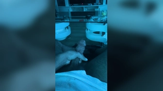 Araber Hengst aus Kaiserslautern