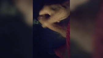 War im Sex Kino und habe ein wenig