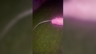 Natursekt aus Jungschwanz