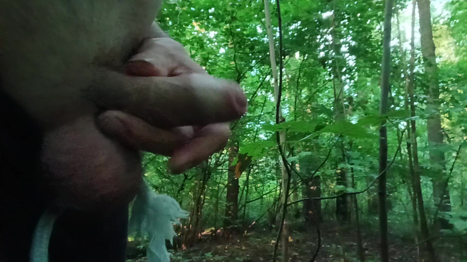 Draußen im Wald wichsen.