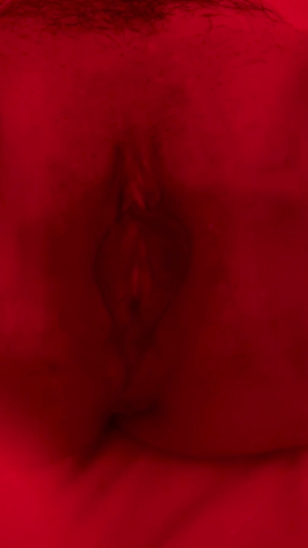 Schöne frisierte Pussy ficken