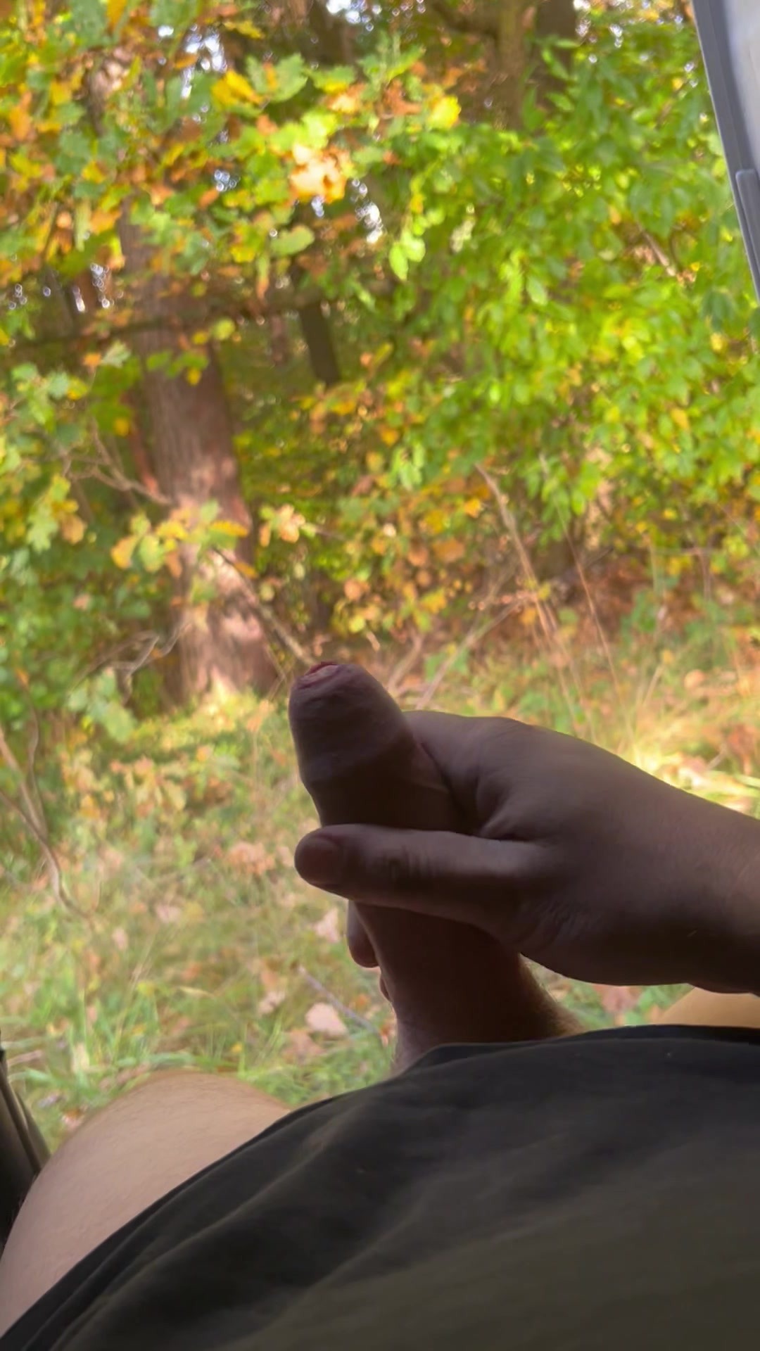 Junger Schwanz Outdoor im Herbst