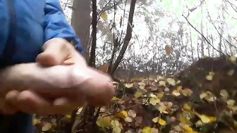 Wurde wieder mal geil beim letzten Waldspaziergan geil