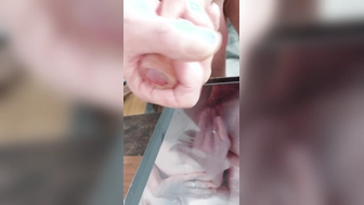 Wunschtribut für Wir2022