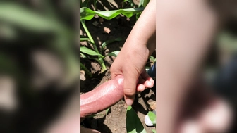 Tenn Handjob im Maisfeld
