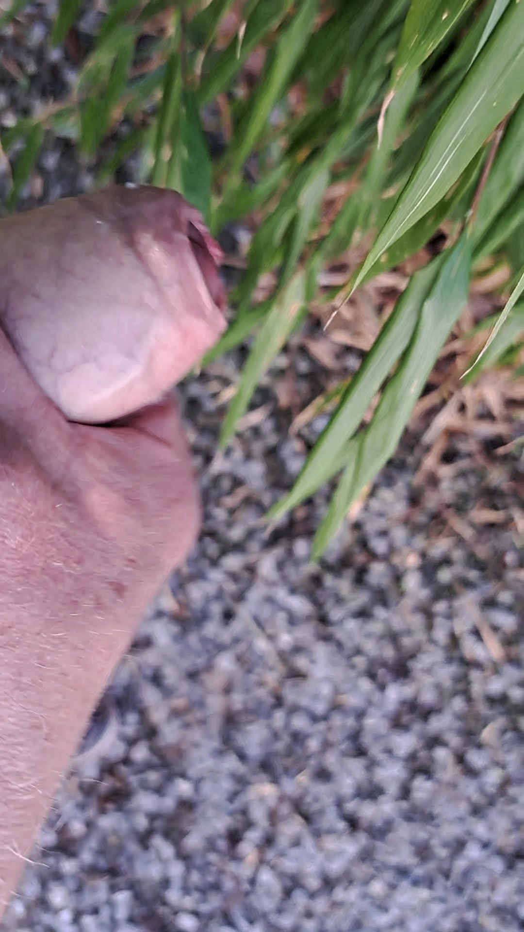 Im Frühlings-Garten schön Mastrubiert