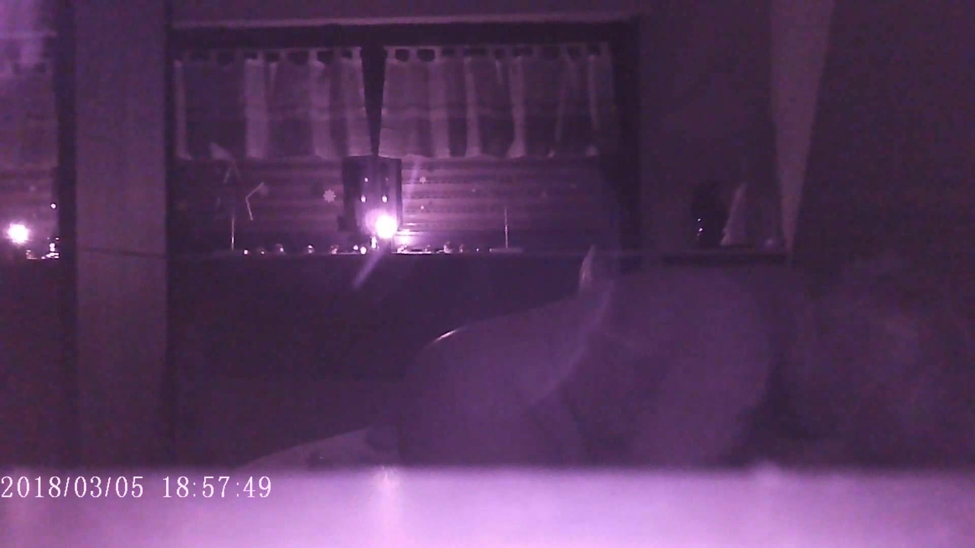 BBW Frau bläst schön den Schwanz