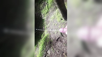 Vielspritzer im Wald