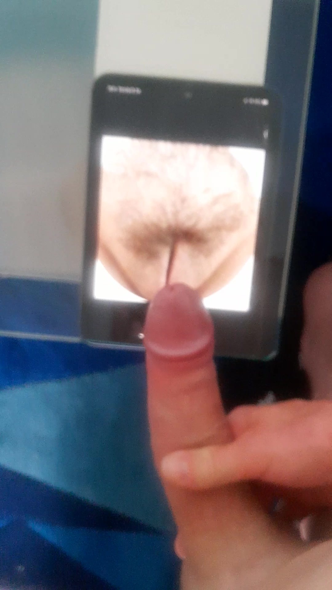 Cumtribut für Schöne Hummel