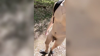 Die ersten warmen Tage nackig im Wald verbringen (Teil1)