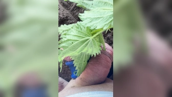 Outdoor Penis Torture mit Brennnesseln